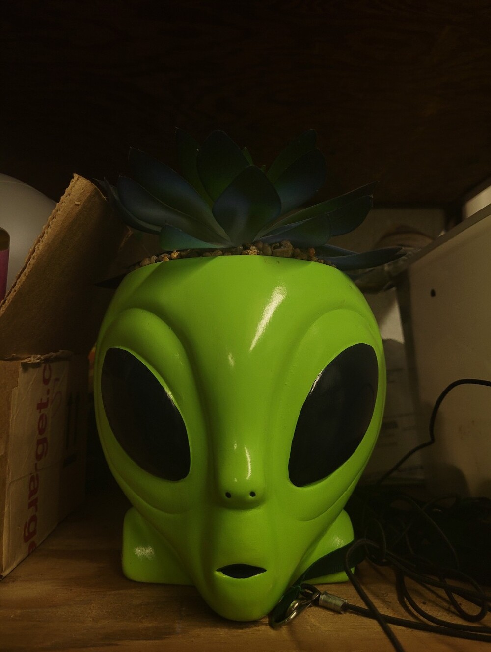 Alien Head Fake Plant